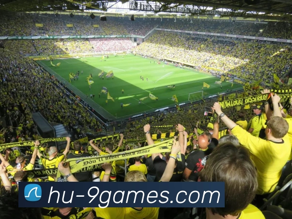 九游官网平台生态图